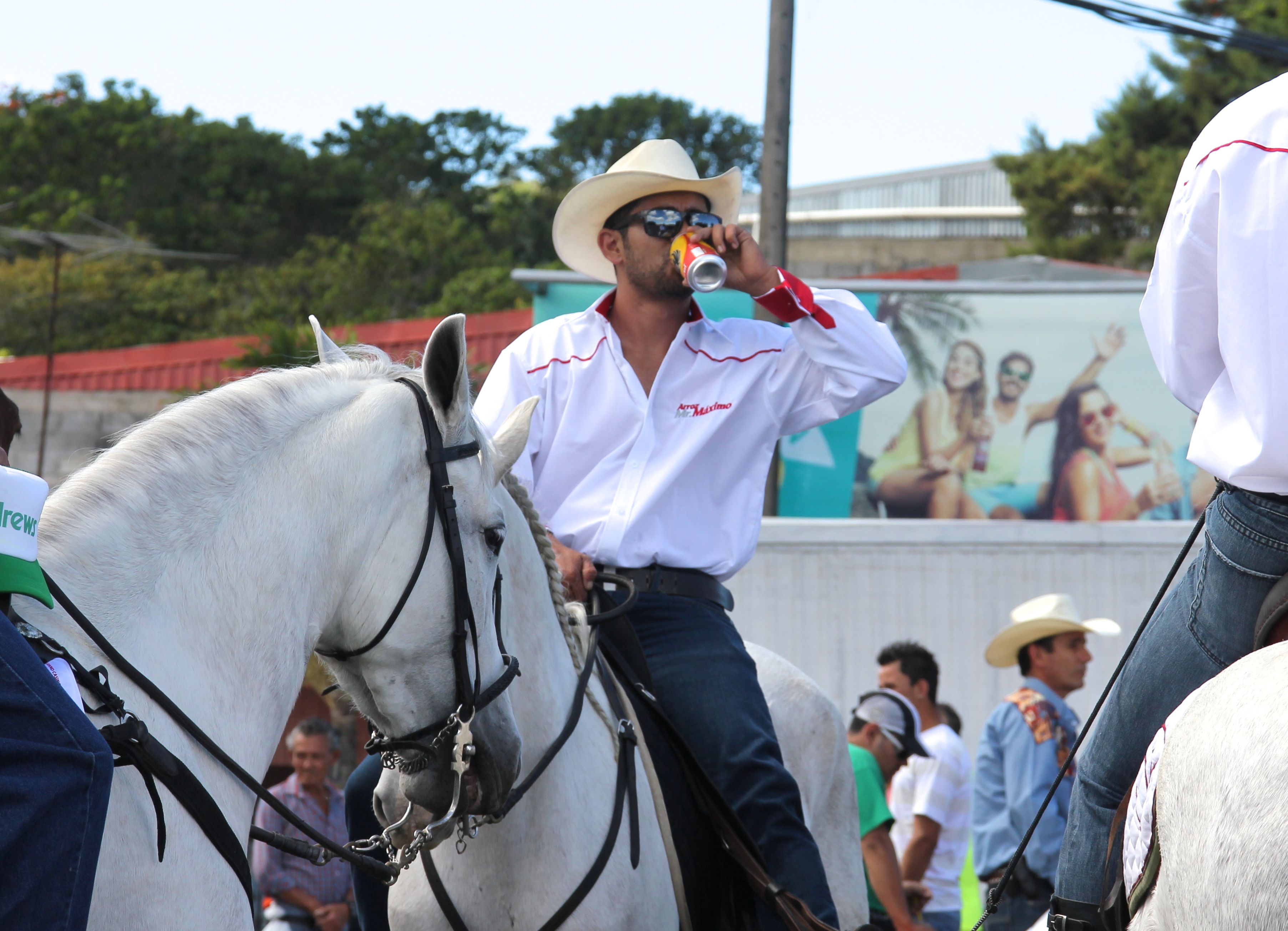 Alcoholism in Costa Rica