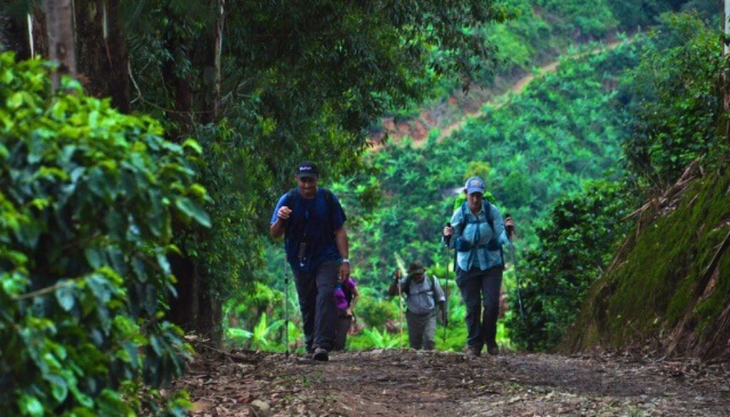 Costa Rica offers hiking (senderismo) for retired expats