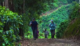 Costa Rica offers hiking (senderismo) for retired expats