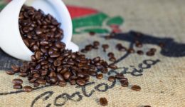 costa-rican-Coffee-Beans