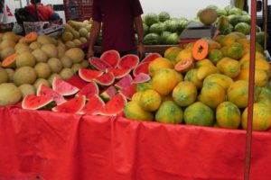 Cantalope, Watermelon & Papaya